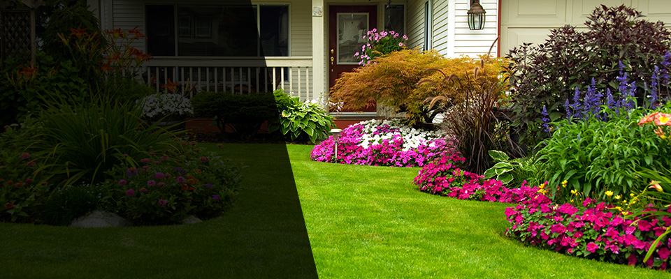 Residential Services